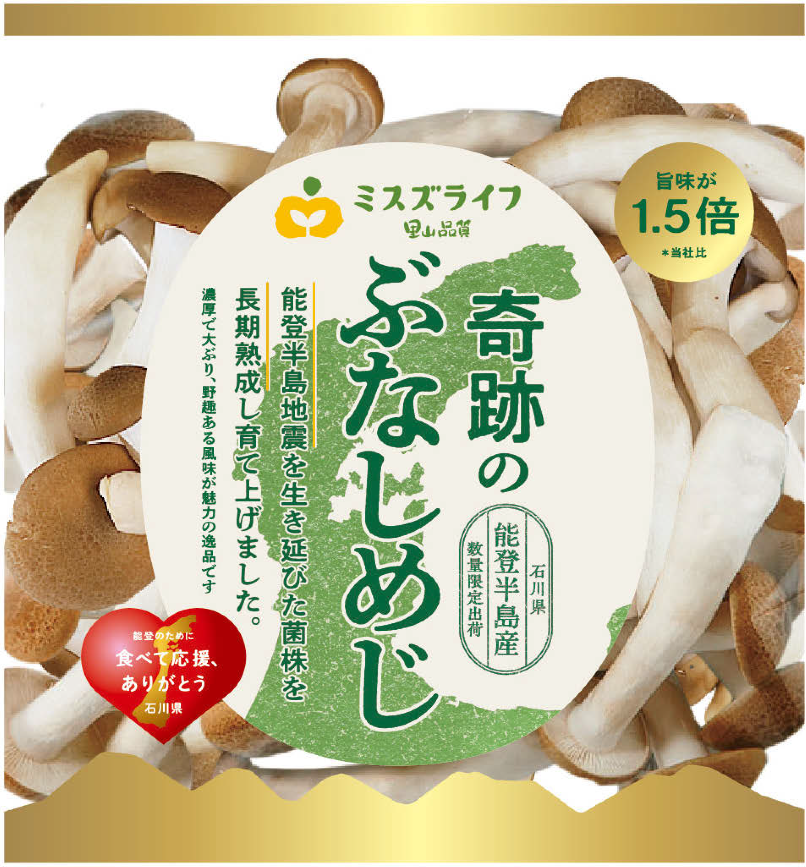 能登半島地震の復旧作業で見つけた希望。「奇跡のぶなしめじ」誕生秘話