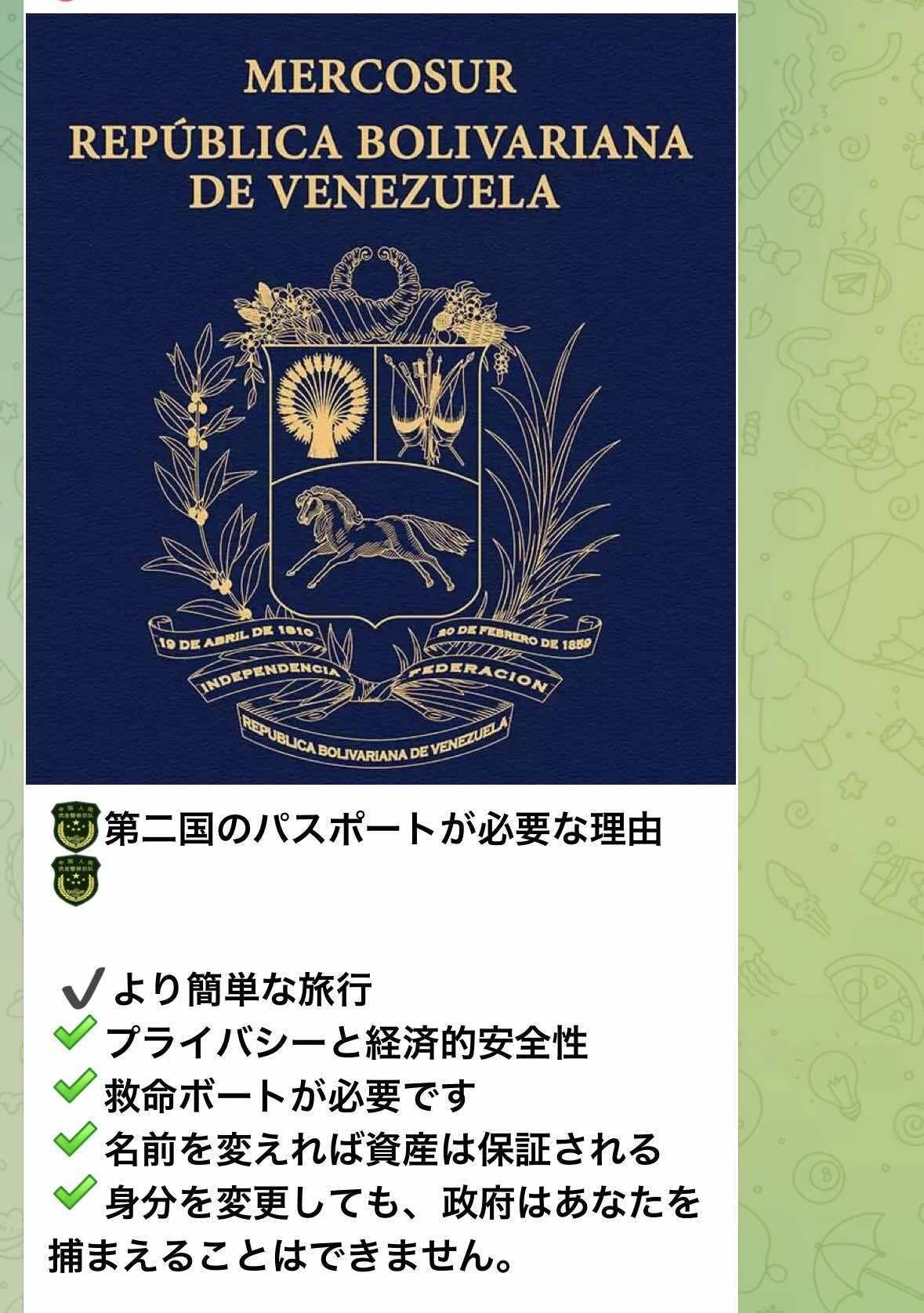 悪い中国人しかいない」 パスポートの販売や「かけ子」の悩みがあふれるテレグラム『灰色産業』チャットに潜入した | スマートニュース