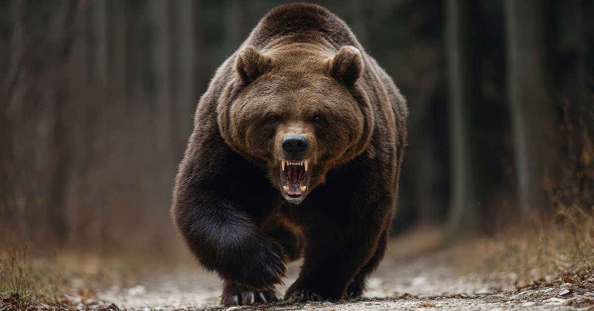 ヒグマに100メートル引きずられて殺された…「クマは焼いて食べるか ヒグマ