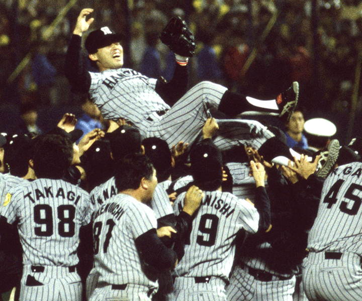 2bb791cd02b15f6a4d2405243b1723